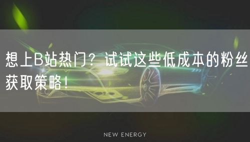 想上B站热门？试试这些低成本的粉丝获取策略！