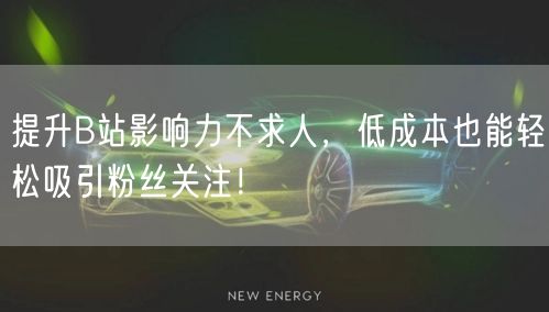 提升B站影响力不求人，低成本也能轻松吸引粉丝关注！