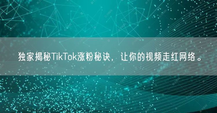 独家揭秘TikTok涨粉秘诀，让你的视频走红网络。