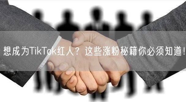 想成为TikTok红人？这些涨粉秘籍你必须知道！
