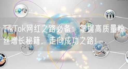 TikTok网红之路必备：掌握高质量粉丝增长秘籍，走向成功之路！