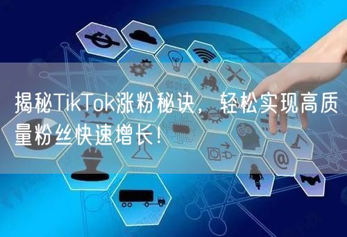 揭秘TikTok涨粉秘诀，轻松实现高质量粉丝快速增长！