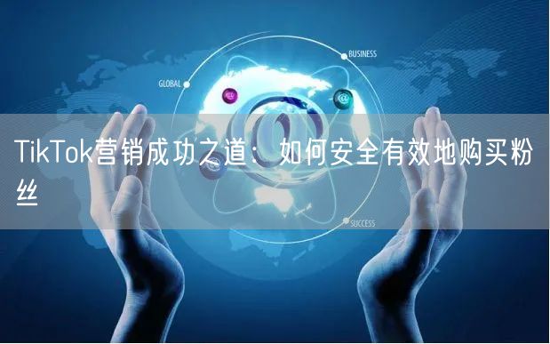 TikTok营销成功之道：如何安全有效地购买粉丝
