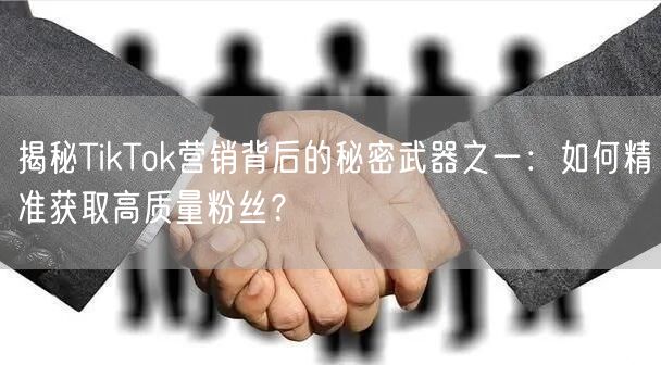 揭秘TikTok营销背后的秘密武器之一：如何精准获取高质量粉丝？