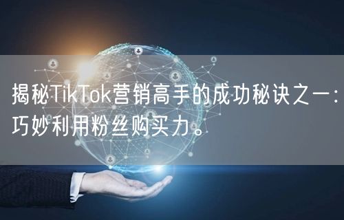 揭秘TikTok营销高手的成功秘诀之一：巧妙利用粉丝购买力。